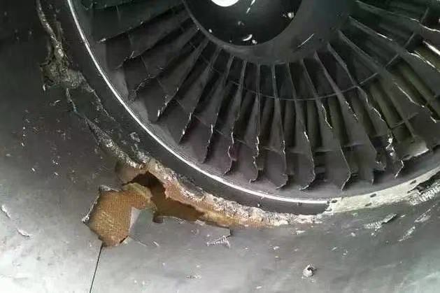 整机丨航空发动机“第一杀手”！发动机吸入异物会怎样？